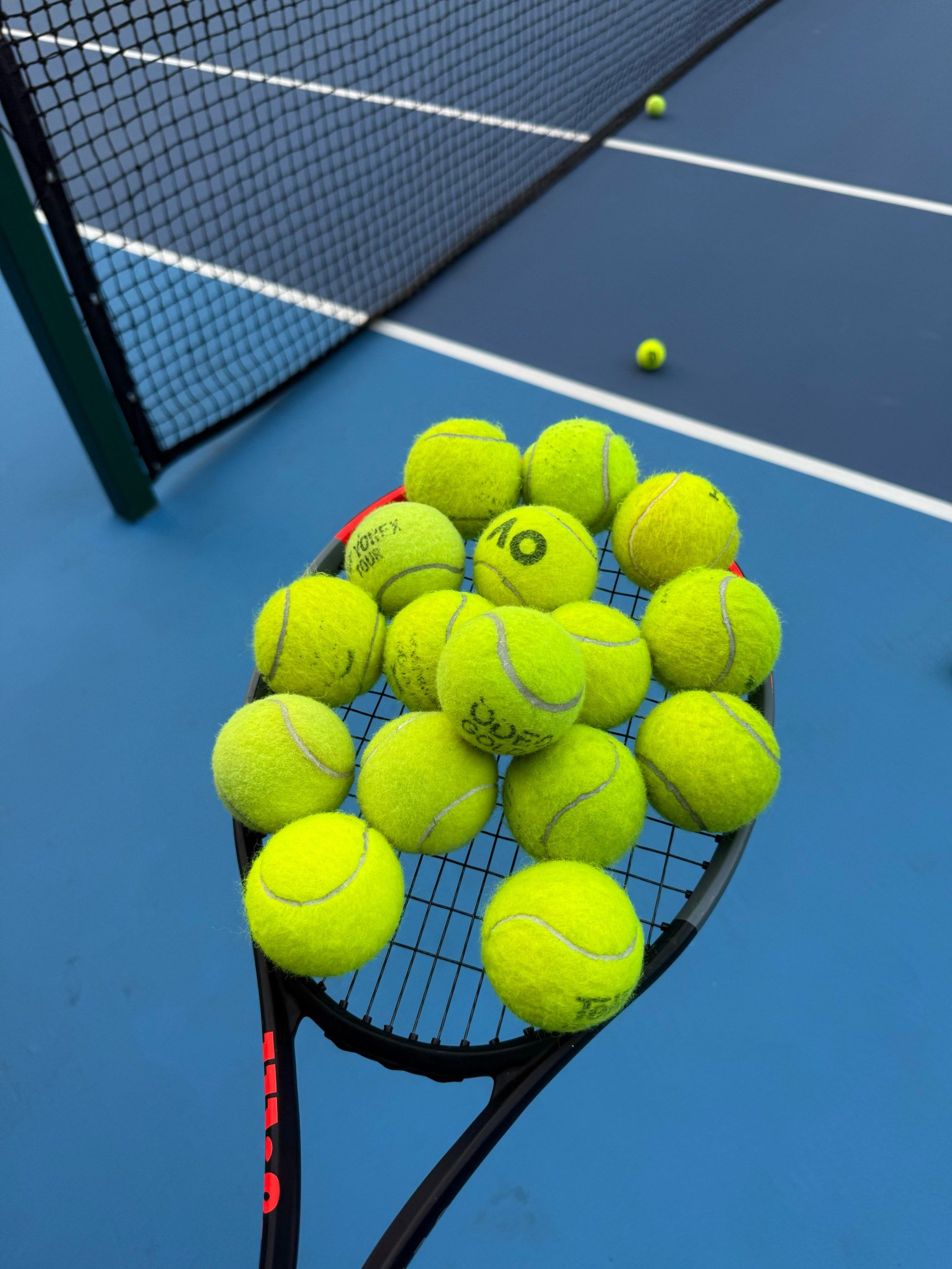 队贡献的承 队贡献的承