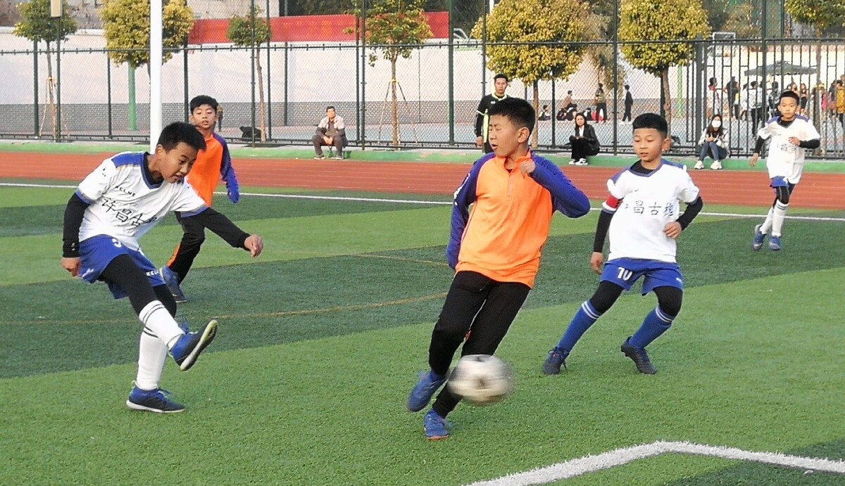 象增添了光 象增添了光