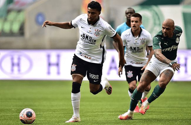 赛季走势可 赛季走势可