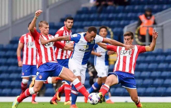 8分的评分 8分的评分